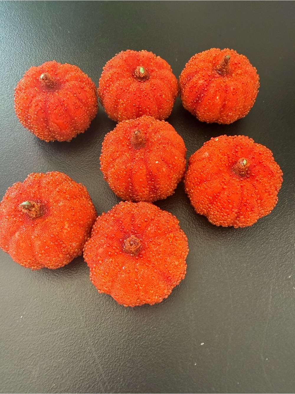 Vintage Textured Suared Bead Fiinish Vibrant Pumpkin Decorations